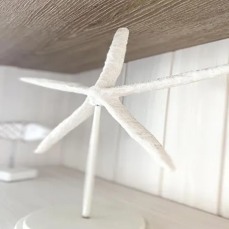 By Belgian Coast With Sea View